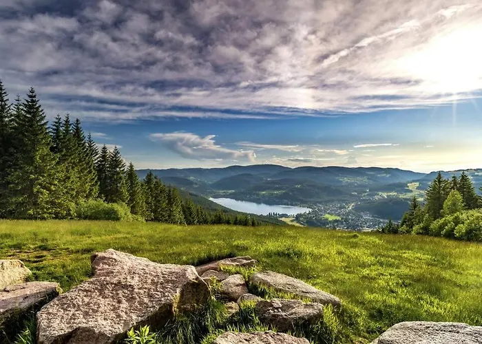 Waldtwin 1 Titisee