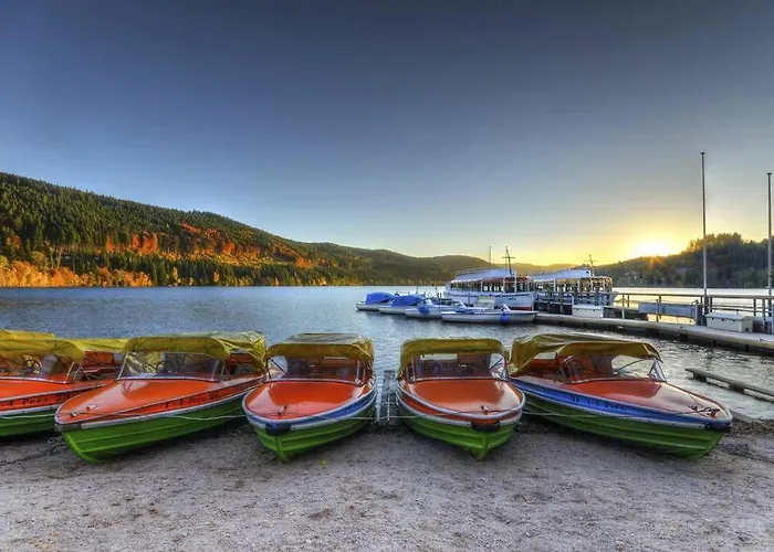 Waldtwin 1 Titisee