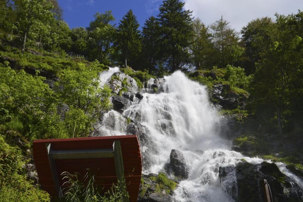 Apartament Waldtwin 1 Titisee-Neustadt