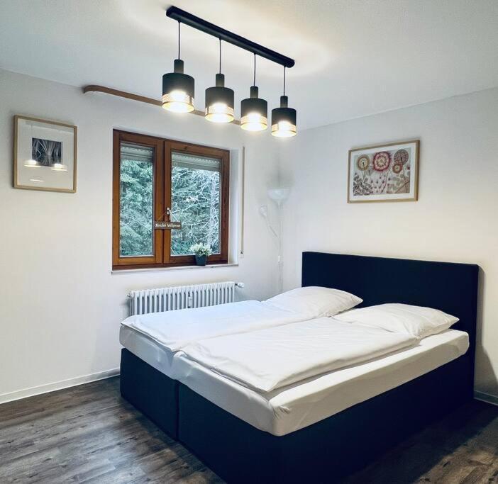 Waldtwin 1 * Titisee-Neustadt
