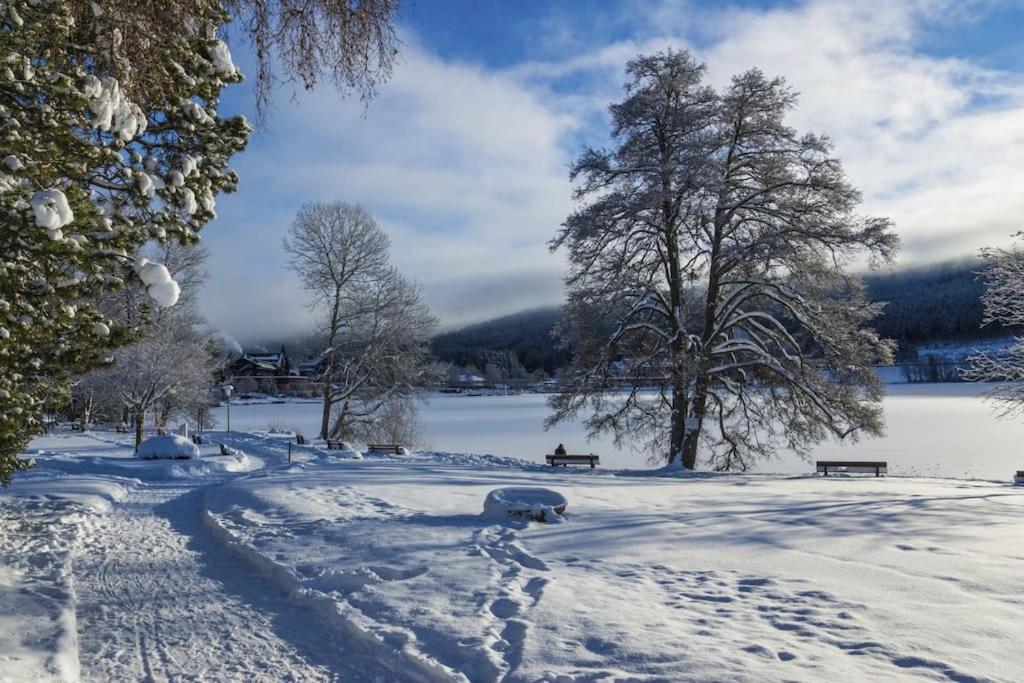 Waldtwin 1 *