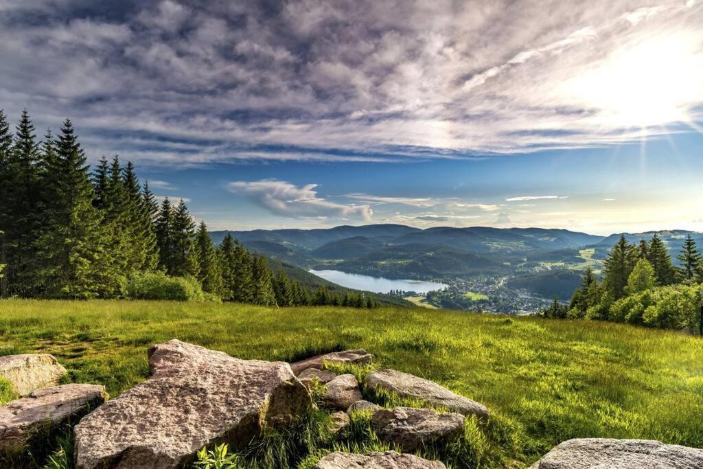 Apartament Waldtwin 1 *