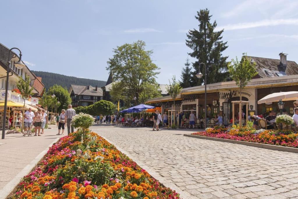Waldtwin 1 Titisee-Neustadt